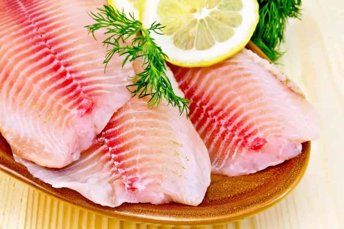 تصویر 3 از خرید فیله ماهی حسون + قیمت فروش استثنایی